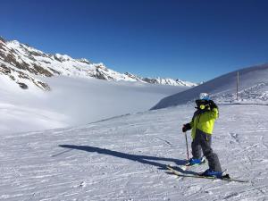 a person on skis in the snow on a mountain at Walser App.31 Pozzi in Bosco Gurin