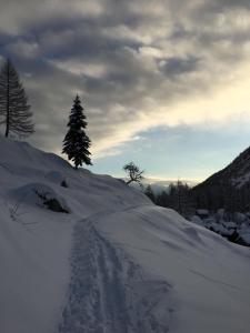 Walser App.31 Pozzi talvel