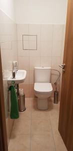 リプノ・ナト・ヴルタヴォウにあるSport Apartmentのバスルーム(トイレ、洗面台付)