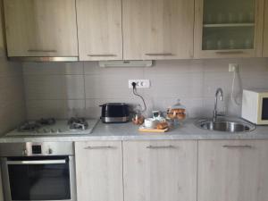 Kuchnia lub aneks kuchenny w obiekcie Vacation Home Vidučić