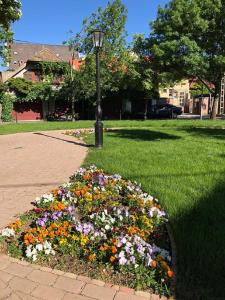 una luz de la calle y flores en un parque en Tulipán Villa Panzió, en Szolnok