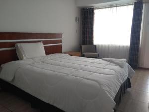 Postel nebo postele na pokoji v ubytování Libertad Hotel