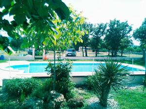 uma piscina num parque com árvores e um carro em Kaja House Apartments em Lozovac
