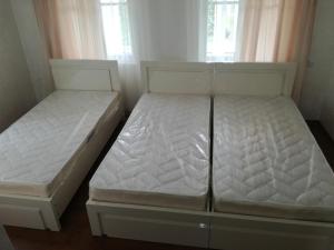 Fotografie z fotogalerie ubytování Avto House v destinaci Batumi