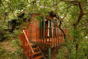 una piccola cabina in legno con una scala che la porta di Eretz Hagalil - Land of Galilee ad Amirim