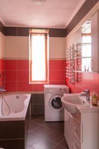 ein Badezimmer mit einer Waschmaschine und einem Waschbecken in der Unterkunft Semeyny Guest House in Uschhorod