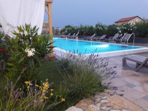 a swimming pool in a yard with chairs and flowers at My Nest Accommodation in Privlaka