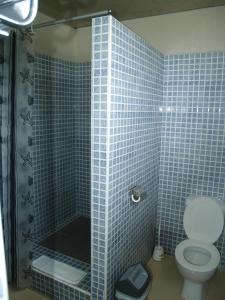 a blue tiled bathroom with a toilet and a shower at Champ de Mars B&B in Port Louis