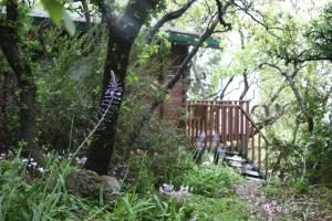 a garden with a tree and a wooden fence at Eretz Hagalil - Land of Galilee in Amirim