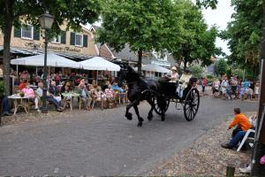 un caballo tirando de un carruaje por una calle con gente en Wellness vakantie villa, en Oudemirdum