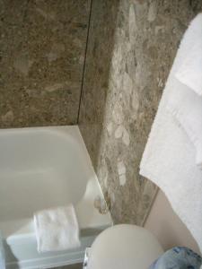Koupelna v ubytování Grand Motel Saint-Hubert