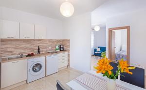 Kuchyň nebo kuchyňský kout v ubytování Apartments Elica