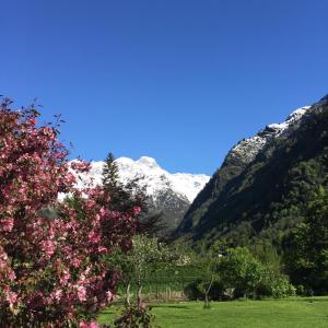 a view of a mountain range with snow covered mountains at Tre Alberi Liberi in Alagna Valsesia