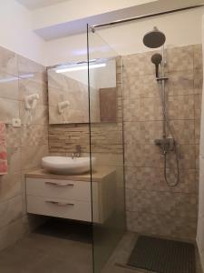 Koupelna v ubytování Apartments Mladenka