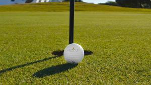 une balle de golf sur un poteau dans l'herbe dans l'établissement Fairplay Golf & Spa Resort, à Benalup-Casas Viejas