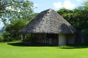 a small hut with a thatched roof in a field at Migombani Camp in Mto wa Mbu +18 photos