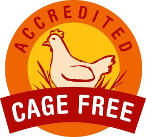 un'etichetta con un pollo e un nastro rosso con il testo torta al forno gratis di Sovrana Beach Hotel - Pet Friendly - Breakfast until 12 - Parking a Rimini