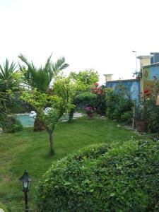 Zahrada ubytování B&B Mariposa