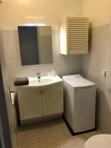 La salle de bains est pourvue d'un lavabo, de toilettes et d'un miroir. dans l'établissement Aix Homes, à Aix-en-Provence