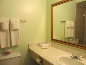een badkamer met een wastafel, een spiegel en een toilet bij Windsor Motel in Hope