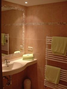 a bathroom with a sink and a mirror and towels at Hotel und Gasthof Dreibeiniger Hund in Görlitz