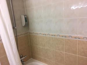 a bathroom with a shower stall and a toilet at Moreton Park Hotel in Chirk
