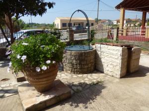 Fotografie z fotogalerie ubytování Theodora Corfu Holiday Apartments v destinaci Ipsos