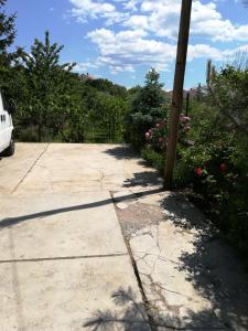 Príroda v okolí apartmánu
