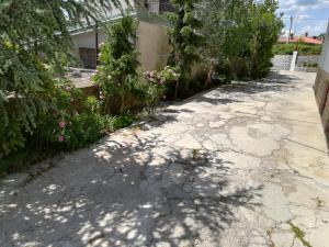 Fotografia z galérie ubytovania Apartment MIS Floura v destinácii Rijeka