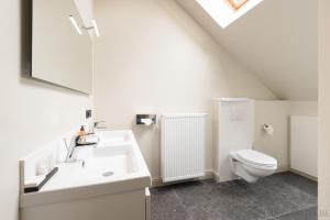 La salle de bains blanche est pourvue de toilettes et d'un lavabo. dans l'établissement Dendernachten, à Termonde