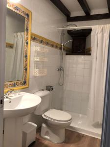 a bathroom with a toilet and a sink and a shower at Apartamentos La Casona in Ucieda de Arriba