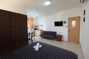 Flintstone Guest House בית ההארחה בן 11 החדרים אינו וילה פרטית אתם מזמינים רק חדרים לא את כל הוילה的电视和/或娱乐中心