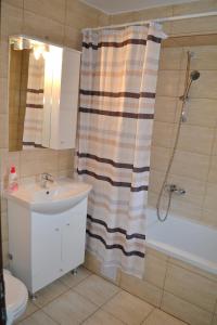 a bathroom with a sink and a shower curtain at Casa Retezat in Râu de Mori