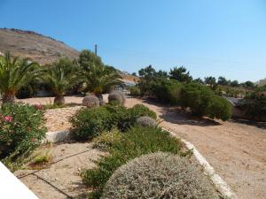 un jardín con plantas, árboles y una colina en Villa Annita, with extraordinary view near the sea, en Finikas