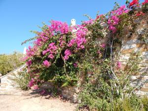 un ramo de flores en una pared de piedra en Villa Annita, with extraordinary view near the sea, en Finikas