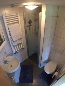 y baño con ducha, aseo y lavamanos. en Ferienhof Prinz, en Oberreute