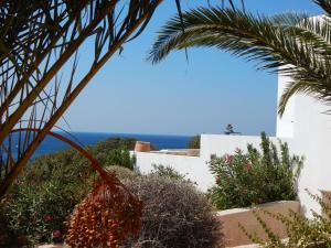 una vista desde el jardín de una casa con una palmera en Villa Annita, with extraordinary view near the sea, en Finikas
