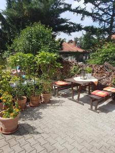 a patio with a table and benches and plants at Haus Andrea in Wernigerode