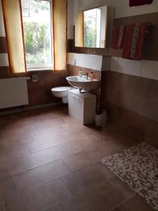 a bathroom with a toilet and a sink at Haus Andrea in Wernigerode