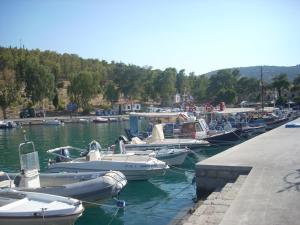 a bunch of boats docked in a harbor at Villa Ianthia in Galaxidi