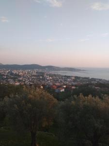 Táj az apartman közelében