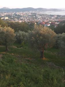 Táj az apartman közelében