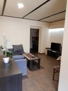 a living room with a couch and a table at Apartamenty u Bodzia in Stronie Śląskie