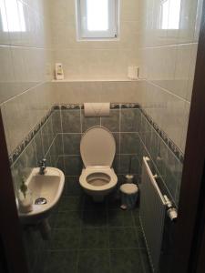 małą łazienkę z toaletą i umywalką w obiekcie Javorník 88 w mieście Javorník