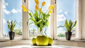 una mesa con flores amarillas y macetas en una ventana en Fenna Apartments 7 minut od Rynku, en Cracovia