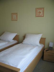 Un pat sau paturi într-o cameră la Birkeneck