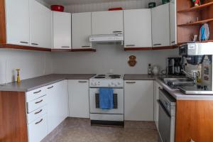 Η κουζίνα ή μικρή κουζίνα στο Guesthouse Gamla
