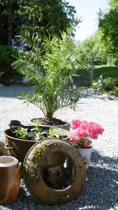 Giardino di Lazy Days