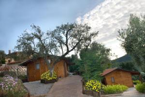 Gallery image of Agriturismo I Fornari in Stella Cilento