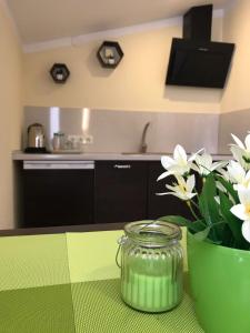 Kuchyň nebo kuchyňský kout v ubytování Tukums apartments